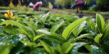 下雨期间物业做什么活最合适？