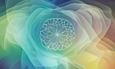 物业满意度定义究竟是什么？