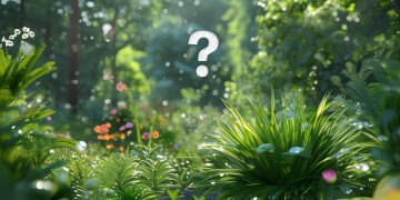 调到国企物业真的有前途吗？