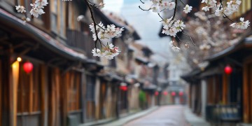 梨花街需要物业管理吗？