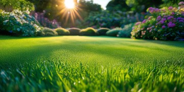 前期物业有前景吗？