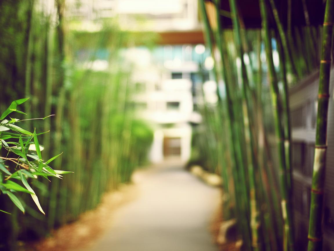 竹山路小区物业到底安全吗？